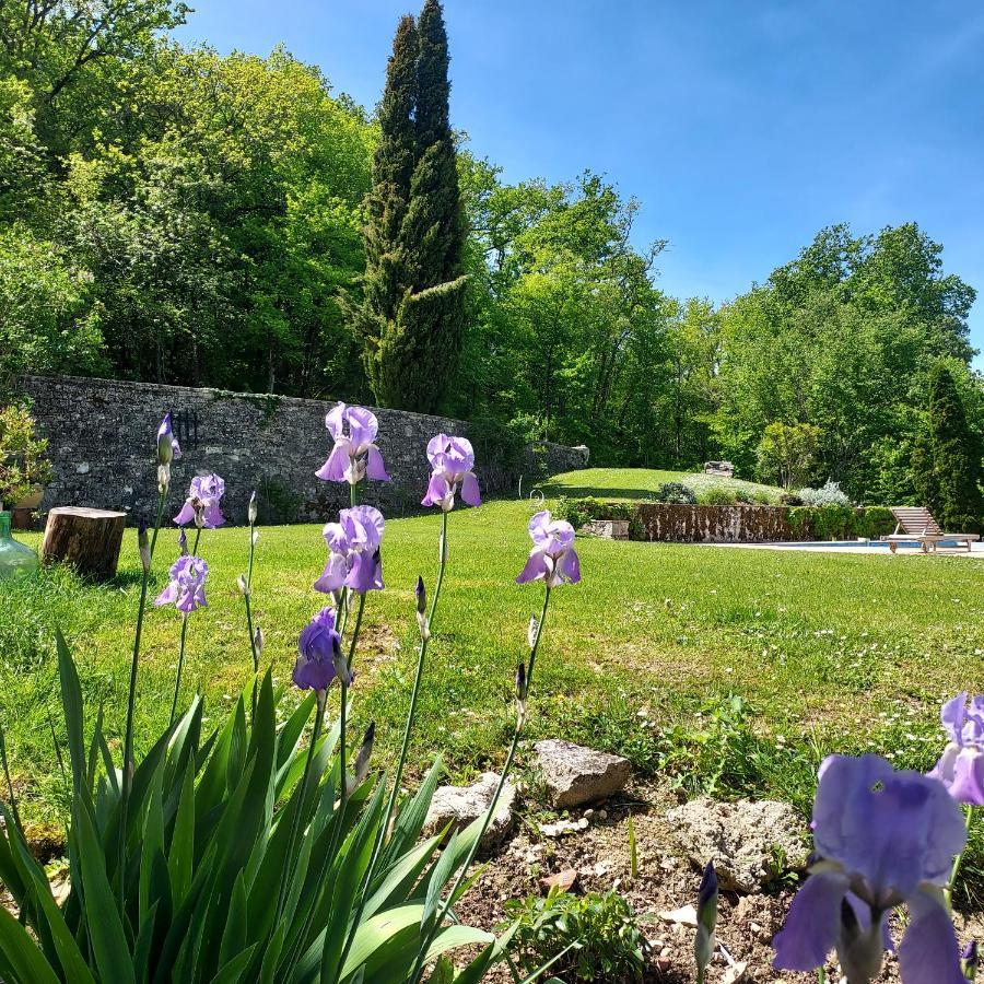 Manoir Le Moulinal47 - Vue Panoramique Guest house 4*