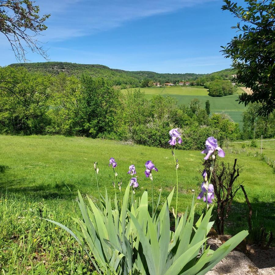 Manoir Le Moulinal47 - Vue Panoramique Guest house Courbiac
